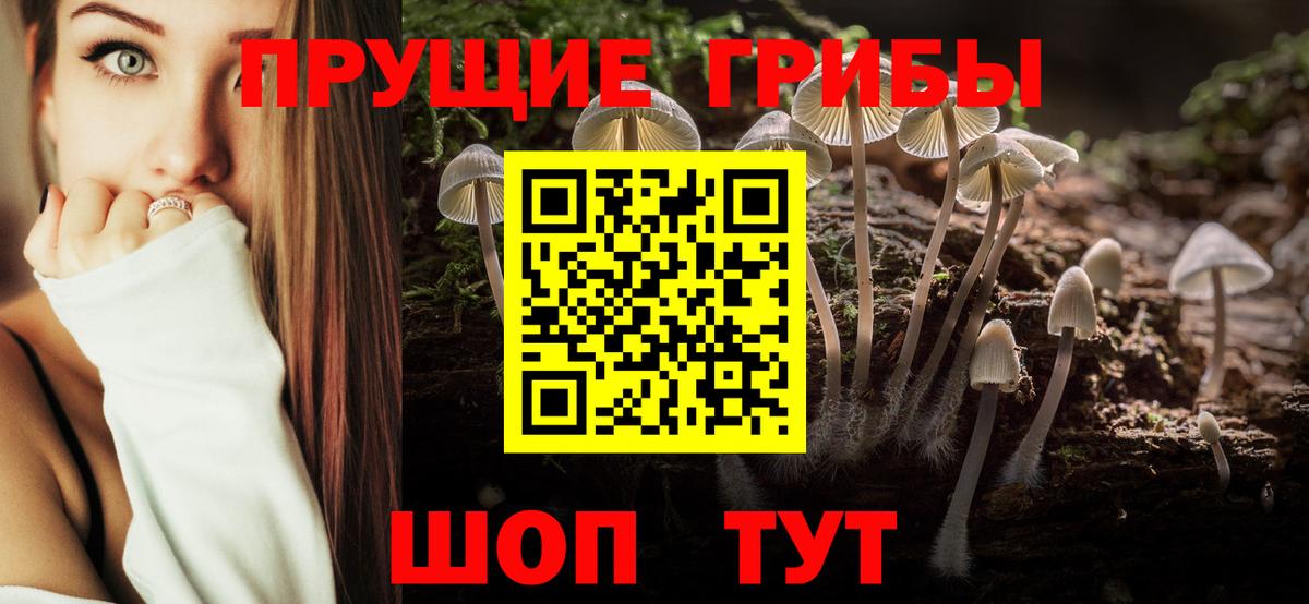 Зерноград  Псилоцибиновые грибы ЛСД  купить наркоту  Вход с VPN 