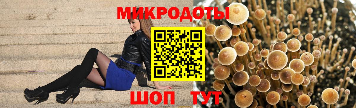 Псилоцибиновые грибы Magic Shrooms Зерноград